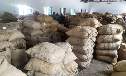 வேலூர் டோல்கேட் ஒழுங்குமுறை விற்பனை கூடத்திற்கு நெல் மூட்டைகளின் வரத்து அதிகரிப்பு