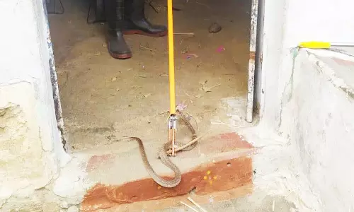 வீட்டிற்கு நுழைந்த நல்ல பாம்பு மீட்பு