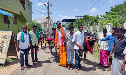 ஜல்லிக்கட்டு காளை வளர்போருக்கு மாதம் ஆயிரம் வழங்கக் கோரிக்கை