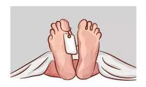 சரக்கு வாகனம் பள்ளத்தில் கவிழ்ந்து பெண் வியாபாரி பலி