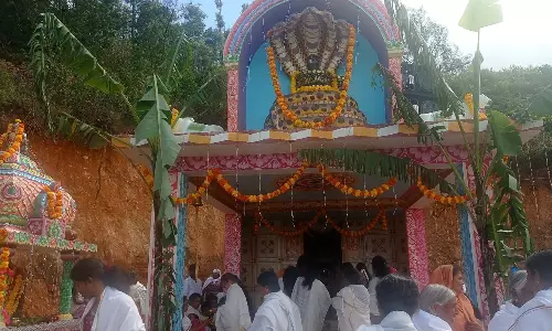 நாக பஞ்சமியை முன்னிட்டு திருவிழா