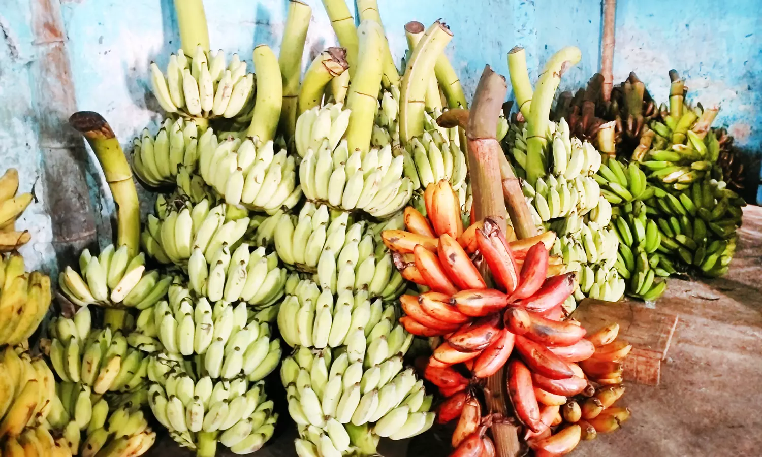 திண்டுக்கல்லில் வரத்து குறைவால் வாழைப்பழம் விலை உயர்வு திண்டுக்கல்லில் வரத்து குறைவால் வாழைப்பழம் விலை உயர்வு