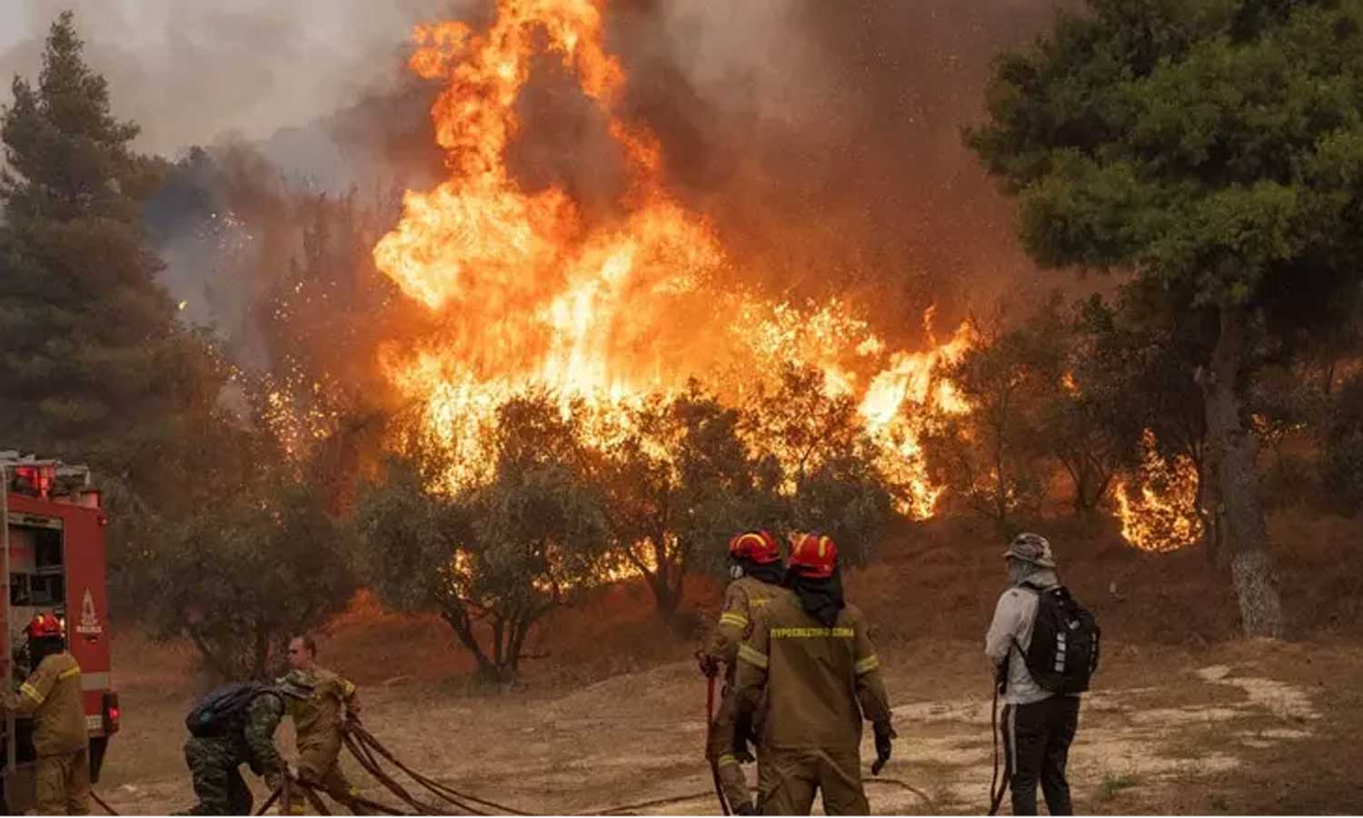 Tragedi di Yunani – 20 orang tewas terbakar dalam kebakaran hutan