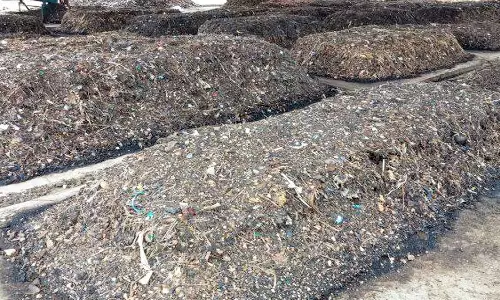 வேலூர் மாநகராட்சி திடக்கழிவு மேலாண்மை மையங்களில் 250 டன் இயற்கை உரம் தயார்