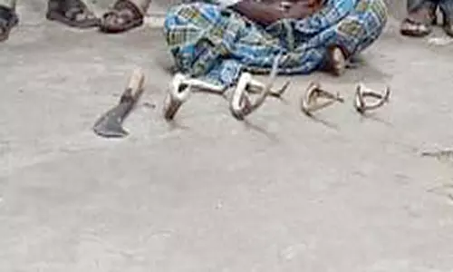 மான் கொம்புகள் வைத்திருந்தவர் கைது