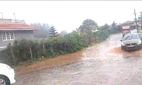 ஊட்டியில் கனமழை: விவசாயிகள் மகிழ்ச்சி