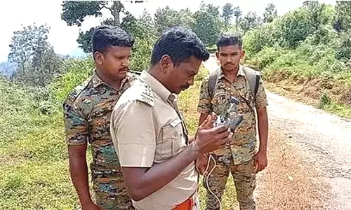 பந்தலூரில் பதுங்கிய சிறுத்தை: வனத்துறை தேடுதல் வேட்டை