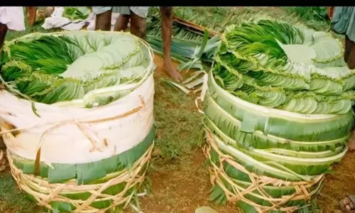 விசேஷ நாட்கள் இருப்பதாலும், வரத்து குறைவாலும்வெற்றிலை விலை உயர்வு