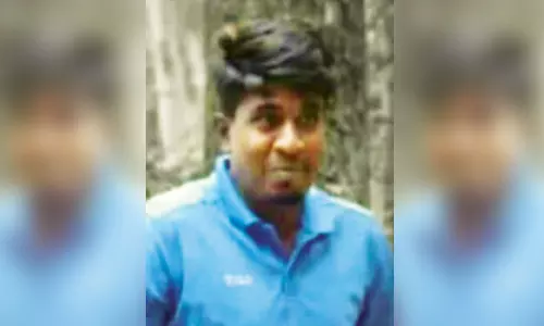 சாலை விபத்தில் மின் ஊழியர் பலி