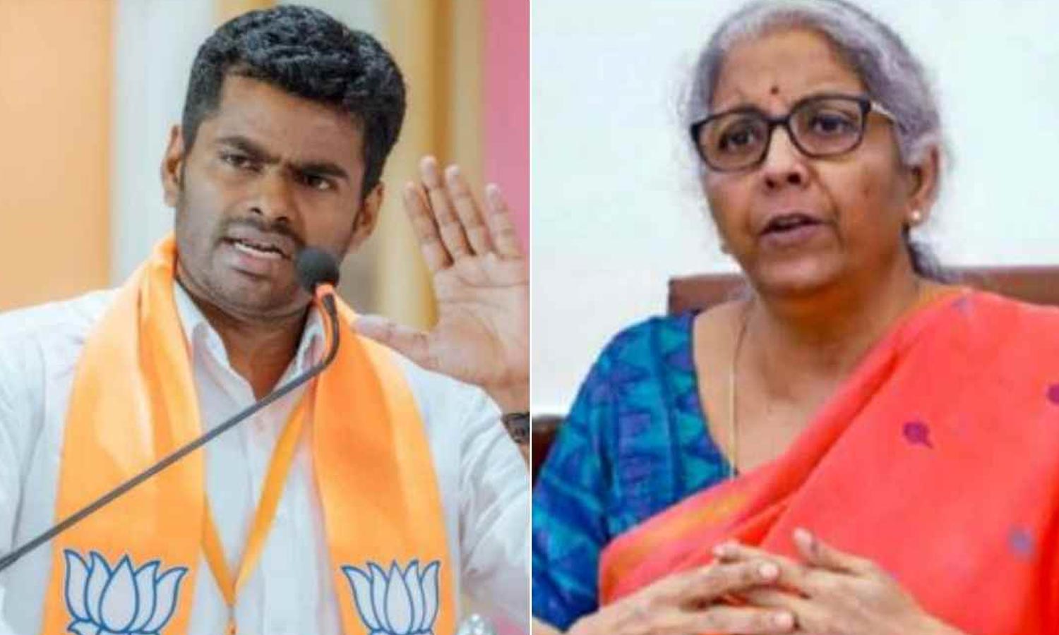 அண்ணாமலை பாதயாத்திரை 3-ந்தேதி தொடக்கம்: நிர்மலா சீதாராமன் 6-ந்தேதி சங்கரன்கோவிலில் பங்கேற்கிறார்