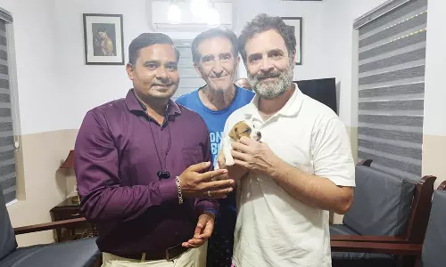 வலைதளத்தில் தேடி கரூர் தொழிலதிபரிடம் நாய் குட்டியை வாங்கிய ராகுல் காந்தி