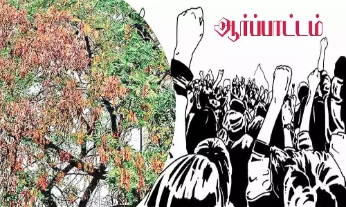 காய்ந்த வேப்ப மரத்தை அகற்றாவிட்டால் போராட்டம் - பொதுமக்கள் அறிவிப்பு