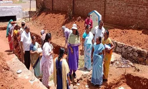 அரண்மனைபுதூர் மற்றும் கொடுவிலார்பட்டி ஊராட்சிகளில் நடக்கும் வளர்ச்சி திட்டப்பணிகள் குறித்து கலெக்டர் ஆய்வு