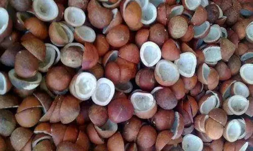 ரூ.1 கோடியே 83 லட்சத்துக்கு கொப்பரை ஏலம்