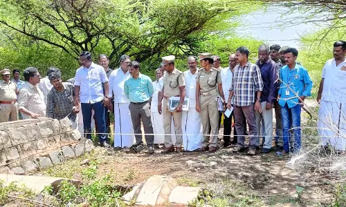 சாத்தியார் அணை வனப்பகுதியில் சாலை அமைக்கும் பணிகள் ஆய்வு