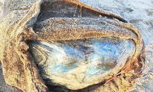 தனுஷ்கோடி கடலோர பகுதியில் கேட்பாரற்று கிடந்த கஞ்சா மூடை