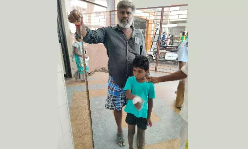 திண்டுக்கல் அரசு ஆஸ்பத்திரிக்கு மகனை கடித்த நல்லபாம்புடன் சிகிச்சைக்கு வந்த கொத்தனார்