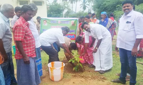 மரக்கன்றுகள் நடும் நிகழ்ச்சி