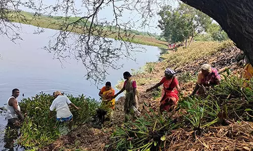 குடிபிரியர்கள் மதுபாட்டில்களை வீசி செல்வதால் அச்சத்துடன் வேலை செய்யும் தொழிலாளர்கள்