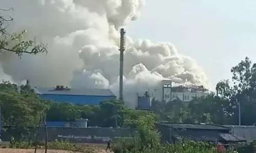 பூச்சிக்கொல்லி ஆலையை அகற்றக்கோரி மனுவை மாலையாக அணிந்து கலெக்டர் அலுவலகம் வந்த கிராம மக்கள்