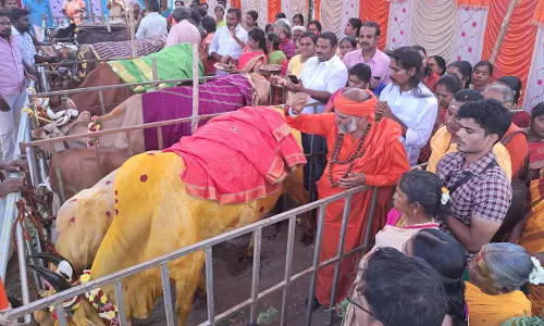 செடல் மாரியம்மன் கோவில் திடலில் மாபெரும் கோ பூஜை