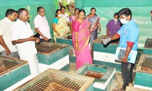 வளர்ச்சி திட்டப் பணிகளை கலெக்டர் ஆய்வு