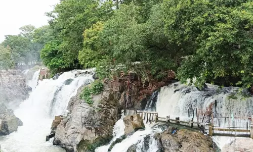 ஒகேனக்கல் காவிரி ஆற்றில்  நீர்வரத்து 10 ஆயிரம் கன அடியாக அதிகரிப்பு