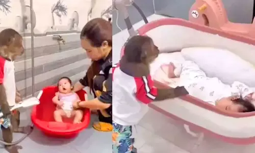 குழந்தையை பராமரிக்க பெண்ணுக்கு உதவும் குரங்கு