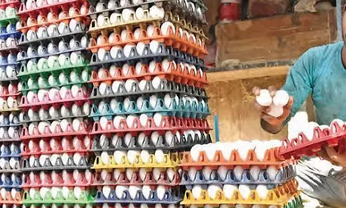 முட்டை விலை 450 காசுகளாக குறைந்தது- கறிக்கோழி விலை 110 ரூபாயாக சரிவு