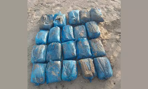 கரை ஒதுங்கிய 40 கிலோ கஞ்சா பொட்டலங்கள்- சுங்கத்துறையினர் கைப்பற்றி விசாரணை