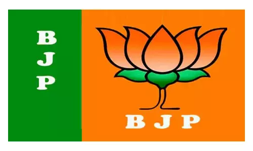 தென்காசி மாவட்டத்தில் அண்ணாமலை பாத யாத்திரை பொதுக்கூட்டத்தில் மத்திய மந்திரி நிர்மலா சீதாராமன் பங்கேற்பு- ஆலோசனை கூட்டத்தில் தகவல்