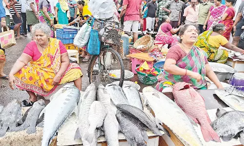 சென்னை காசிமேடு மார்க்கெட்டில் மீன் விற்பனையில் கொடிகட்டி பறக்கும் பெண்கள்