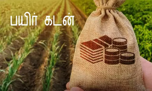திருவண்ணாமலை மாவட்டத்தில் விவசாயிகளுக்கு பயிர்கடன்