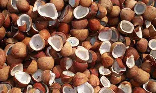 ரூ.3 லட்சத்து 41 ஆயிரத்துக்கு தேங்காய் பருப்பு விற்பனை