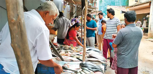வரத்து அதிகரிப்பால் வஞ்ஜிரம் மீன் கிலோ ரூ.700-க்கு விற்பனை வரத்து அதிகரிப்பால் வஞ்ஜிரம் மீன் கிலோ ரூ.700-க்கு விற்பனை