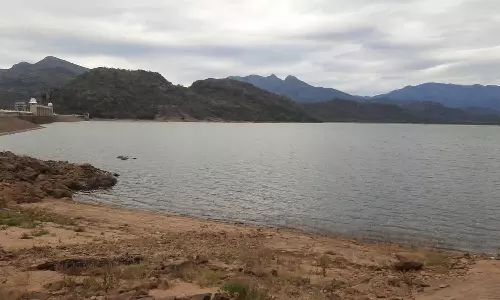 வேகமாக சரியும் உடுமலை அமராவதி அணை நீர்மட்டம்-  சாகுபடி பணிகள் பாதிப்பு