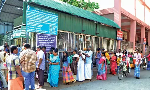 பழனியில் குவிந்த பக்தர்கள் கூட்டம்: நீண்ட நேரம் காத்திருந்து சாமி தரிசனம்