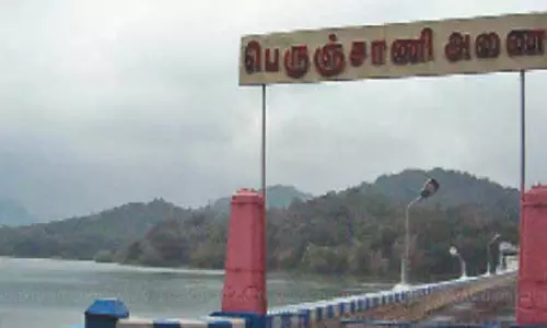 பேச்சிப்பாறை, பெருஞ்சாணி அணைகளின் நீர்மட்டம் கிடுகிடு சரிவு