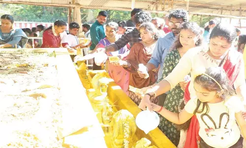 நாகராஜா கோவிலில் நாகர் சிலைகளுக்கு பெண்கள் பால் ஊற்றி வழிபாடு