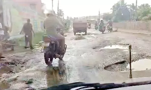 குண்டும் குழியுமாக மாறிய மீஞ்சூர்-திருவொற்றியூர் சாலை: வாகன ஓட்டிகள் கடும் அவதி