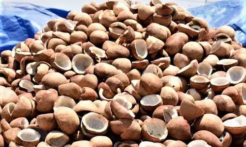 ரூ.1 கோடியே 94 லட்சத்துக்கு கொப்பரை ஏலம்