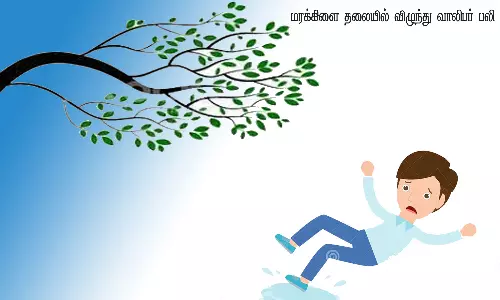 மரக்கிளை தலையில் விழுந்து வாலிபர் பலி