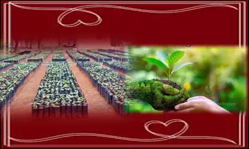 கிராமம்தோறும் மரக்கன்றுகள்-இயற்கை ஆர்வலர்கள்  எதிர்பார்ப்பு