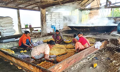 உற்பத்தி அதிகரிப்பால் வெல்லம் விலை வீழ்ச்சி