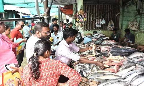 மீன்கள் வரத்து அதிகரிப்பால் விலை குறைந்தது