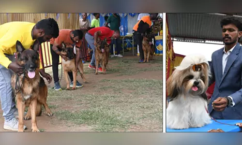சேலத்தில் இந்திய அளவிலான நாய்கள் கண்காட்சி