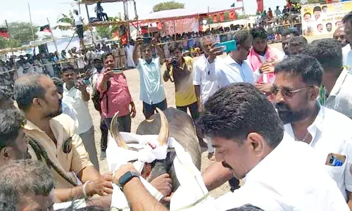 வடமாடு மஞ்சுவிரட்டு போட்டி