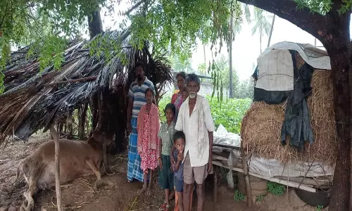 இடி தாக்கி பசுமாடு பலி