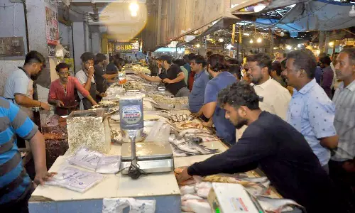 மீன்களின் வரத்து அதிகரிப்பால் விலை குறைந்தது