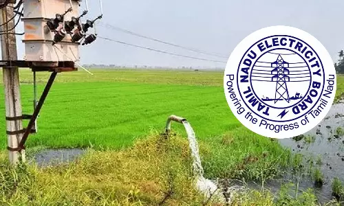 நெல்லை மாவட்டத்தில் தட்கல் முறையில் விண்ணப்பிக்கும் விவசாயிகளுக்கு  முன்னுரிமை அடிப்படையில் மின் இணைப்பு- மின்வாரிய அதிகாரி தகவல்